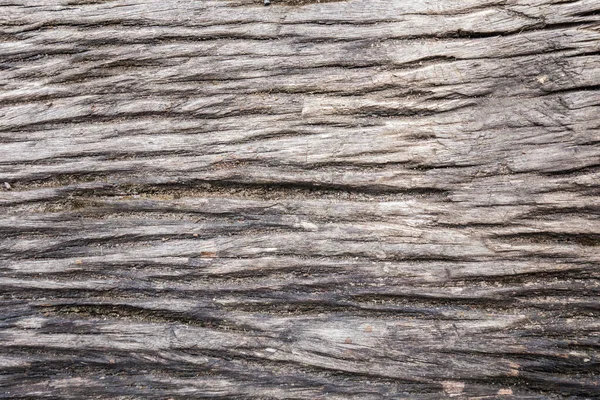 Деревянная Текстура Крупный План Природный Фон Гранж Старое Дерево — стоковое фото
