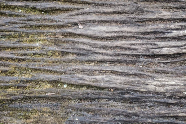 Textura Madeira Close Fundo Natureza Grunge Madeira Velha — Fotografia de Stock
