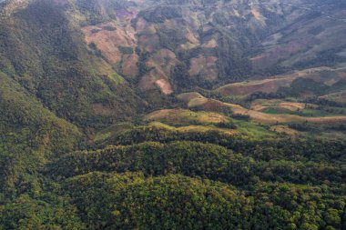 Derin dağ vadisi havası tropikal ormanlara bakıyor.
