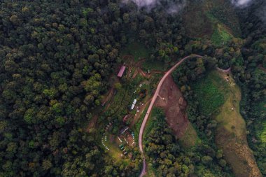 Yeşil manzaralı derin dağ ormanı manzaralı yol manzaralı