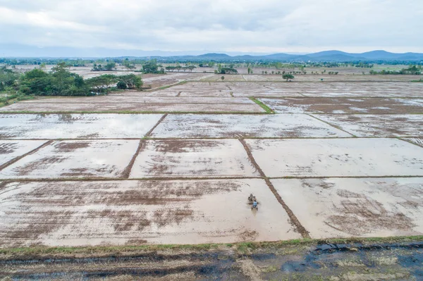 Hava Manzaralı Toprak Pirinç Tarlası Kırsal Kesimdeki Çeltik Pirincine Hazır — Stok fotoğraf