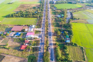 Yeşil pirinç tarlalı kırsal yol manzarası