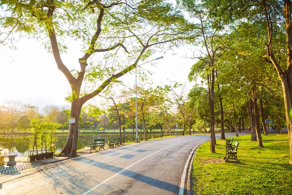 Zelená Scenérie Veřejného Parku Při Západu Slunce — Stock fotografie