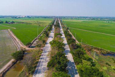 Yeşil pirinç tarlalı kırsal yol manzarası
