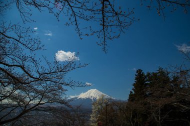 Shoji Gölü, Yamanashi Bölgesi, Japonya 'da karlı Fuji Dağı