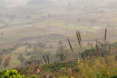 Tayland 'ın kuzeyinde, gün doğumunda, dağ ve sislerin sabah manzarası