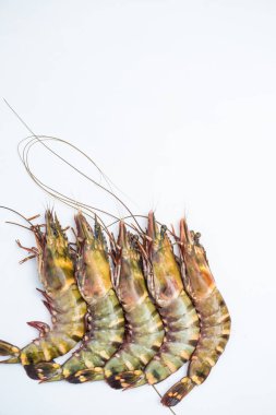 Beyaz arka planda karides ve çiğ karides.
