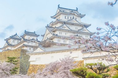 Japonya 'da Kansai Kyoto' da Himeji Kalesi 'nin kış mevsiminde çiçek açan pembe kiraz ağaçları Himeji Kalesi Japonya' da Sakura çiçeklerini görmek için sık sık en iyi yerlerden biri olarak anılmıştır.