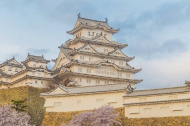 Japonya 'da Kansai Kyoto' da Himeji Kalesi 'nin kış mevsiminde çiçek açan pembe kiraz ağaçları Himeji Kalesi Japonya' da Sakura çiçeklerini görmek için sık sık en iyi yerlerden biri olarak anılmıştır.