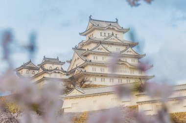 Japonya 'da Kansai Kyoto' da Himeji Kalesi 'nin kış mevsiminde çiçek açan pembe kiraz ağaçları Himeji Kalesi Japonya' da Sakura çiçeklerini görmek için sık sık en iyi yerlerden biri olarak anılmıştır.