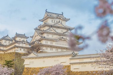 Japonya 'da Kansai Kyoto' da Himeji Kalesi 'nin kış mevsiminde çiçek açan pembe kiraz ağaçları Himeji Kalesi Japonya' da Sakura çiçeklerini görmek için sık sık en iyi yerlerden biri olarak anılmıştır.