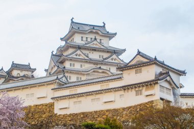 Japonya 'da Kansai Kyoto' da Himeji Kalesi 'nin kış mevsiminde çiçek açan pembe kiraz ağaçları Himeji Kalesi Japonya' da Sakura çiçeklerini görmek için sık sık en iyi yerlerden biri olarak anılmıştır.