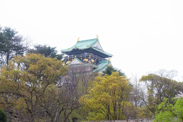 Osaka Slott Vackra Japanska Tempel Grön Vinter Skog Träd Nishinomaru — Stockfoto