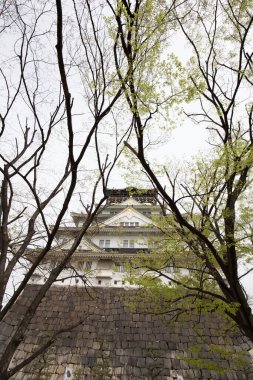 Osaka Kalesi güzel Japon tapınağı yeşil kış ormanı ağaçları Nishinomaru Bahçesi, Japonya.