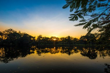 Şehir parkı yeşil ağaç ormanı nehir gün batımı açık gökyüzü doğayı bulutlandırıyor