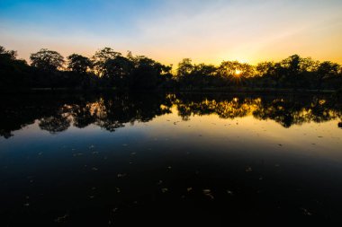 Şehir parkında gün batımı, orman bahçesi, doğa, güneş ışığı arka planı.