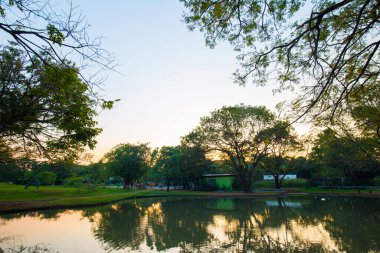 Şehir parkı yeşil ağaç ormanı nehir gün batımı açık gökyüzü doğayı bulutlandırıyor