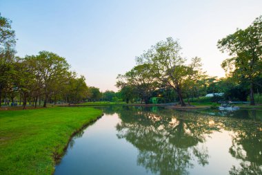 Şehir parkı yeşil ağaç ormanı nehir gün batımı açık gökyüzü doğayı bulutlandırıyor