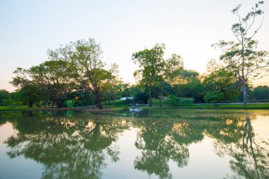 Şehir parkı yeşil ağaç ormanı nehir gün batımı açık gökyüzü doğayı bulutlandırıyor