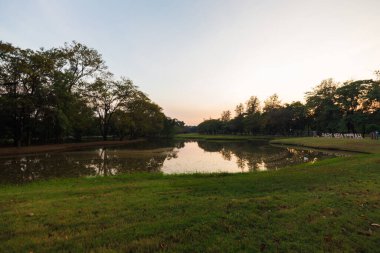 Şehir parkı yeşil ağaç ormanı nehir gün batımı açık gökyüzü doğayı bulutlandırıyor