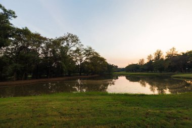 Şehir parkı yeşil ağaç ormanı nehir gün batımı açık gökyüzü doğayı bulutlandırıyor