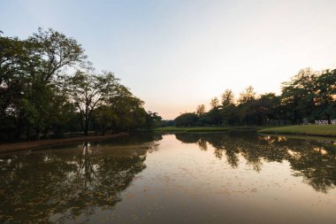 Şehir parkı yeşil ağaç ormanı nehir gün batımı açık gökyüzü doğayı bulutlandırıyor