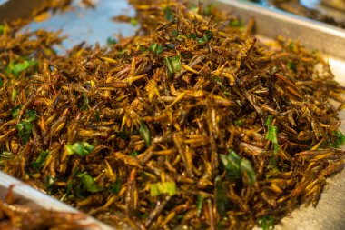 Patunga çekirgesi kızarmış alternatif protein satışı Bangkok Tayland 'da gece pazarında