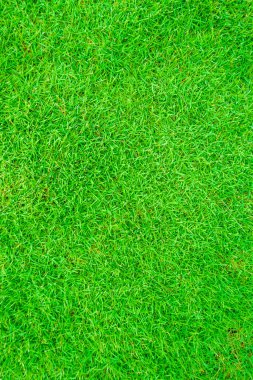 Yukarıdan, doğal nesne yeşil taze ot arka plan