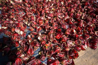 Ahşap masa güneş ışığı üzerinde organik roselle Kuru