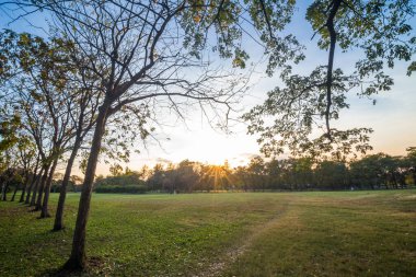 Şehir Parkı ışık demeti günbatımı sıcak zaman yeşil çim ve ağaçları ile akşam