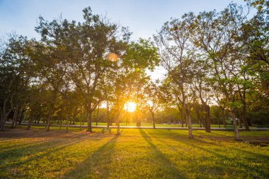 Genel merkez park günbatımı güneşli gün ışığına
