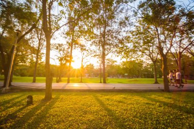 Genel merkez park günbatımı güneşli gün ışığına