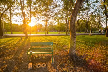 Park bankında akşam günbatımı ağaç ile yeşil park üzerinde bulun