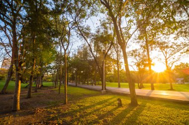 Genel merkez park günbatımı güneşli gün ışığına
