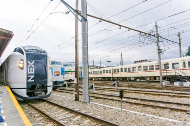 Tokyo, Japonya - 23 Ekim 2016: Narita Express sınırlı bir tren Narita Uluslararası Havaalanı'ndan çeşitli daha Tokyo bölgesi kanallarında hizmet vermektedir