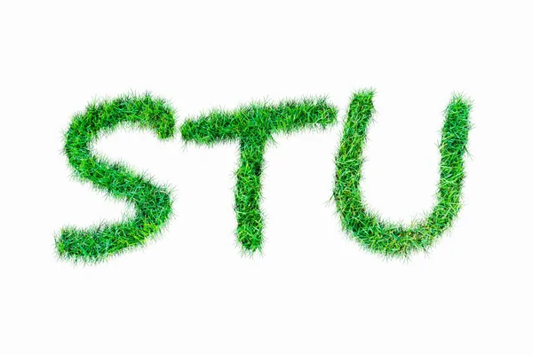 Groene Natuur Echte Grasss Lettertype Geïsoleerd Wit — Stockfoto