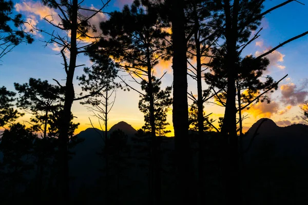 Cielo Colorido Atardecer Con Pino Montaña Escena Silueta — Foto de Stock