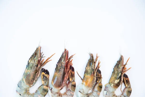 Fresh Tiger Prawn Sea Shrimp Unpack Ready Cook White Background — Stock Photo, Image
