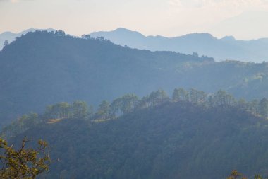 Çimenli dağ zirvesi çam ormanı günbatımı gökyüzü doğa manzarasını bulutlandırır