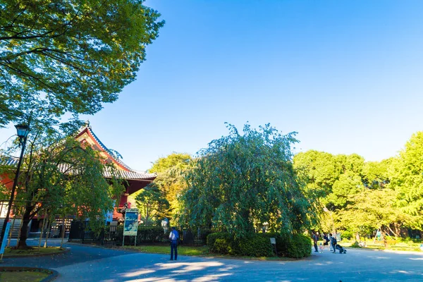 日本东京植野公园自然花园绿树林晨日出秋秋季节 — 图库照片