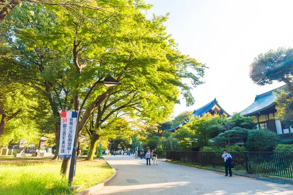 日本东京植野公园自然花园绿树林晨日出秋秋季节 — 图库照片