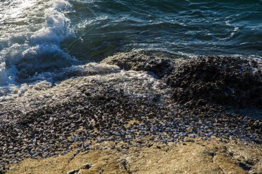 Deniz dalgaları kayalık sahillere vuruyor güneşli bir sabah, Andaman Denizi 'nin doğuşu