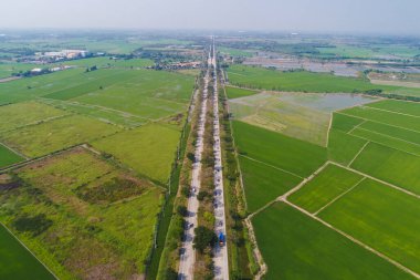 Yeşil pirinç tarlası manzaralı kırsal yol
