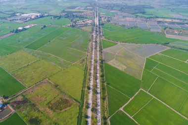 Yeşil pirinç tarlası manzaralı kırsal yol