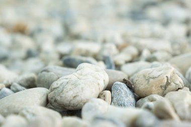 Taş dairesel dokunun ayrıntıları, Rocky arkaplanı