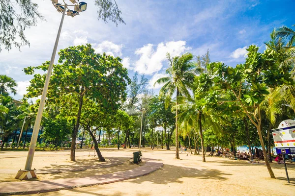 Kokosnoot Palmboom Zee Strand Paradijs Tropisch Strand — Stockfoto