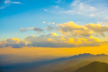 Yeşil tropikal orman manzaralı gün batımı ışığı yaz tatili vadisi