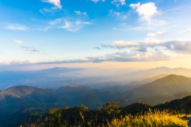 Yeşil tropikal orman manzaralı gün batımı ışığı yaz tatili vadisi