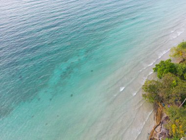 Hava manzaralı deniz plajı yeşil ağaç ormanı yaz tatili arka planlı beyaz kumsal dalgası