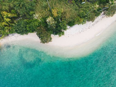 Hava manzaralı deniz plajı yeşil ağaç ormanı yaz tatili arka planlı beyaz kumsal dalgası
